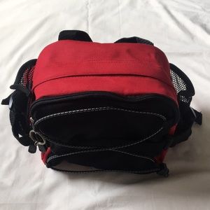Bass Hip pack